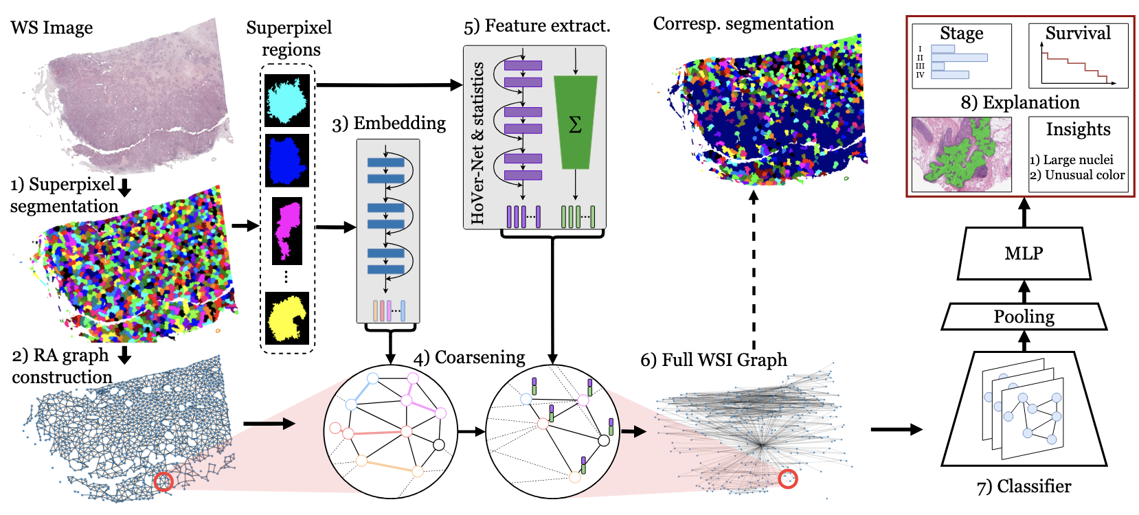 A Graph-Based Framework for Interpretable Whole Slide Image Analysis