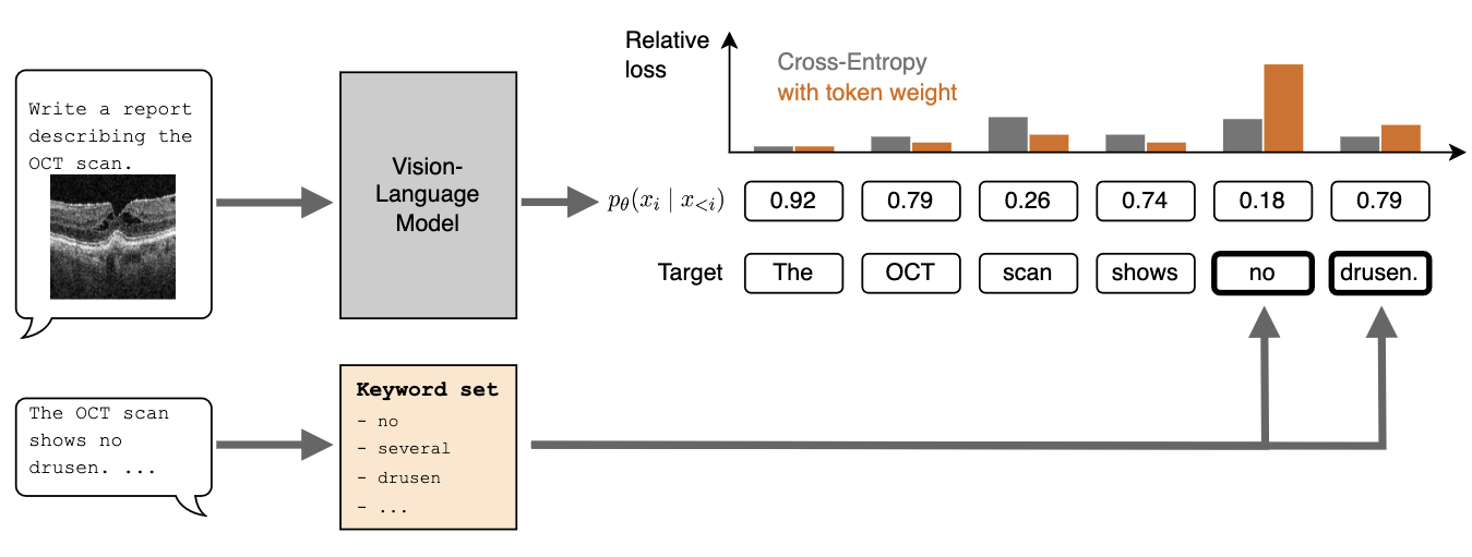 Weighting What Matters: Boosting Sample Efficiency in Medical Report Generation via Token Reweighting